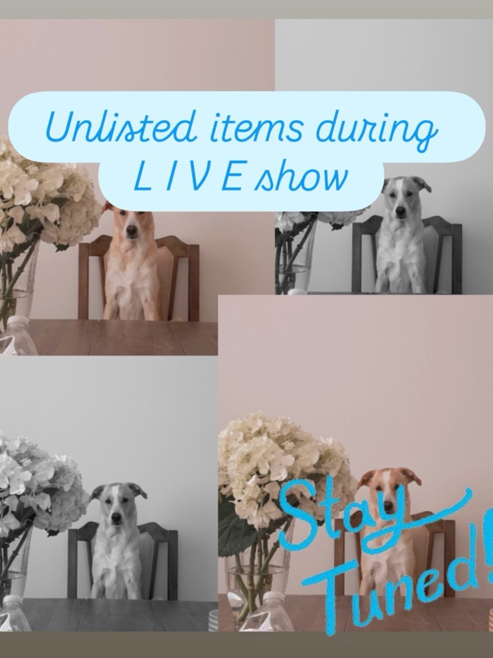 Unlisted items for L I V E shows